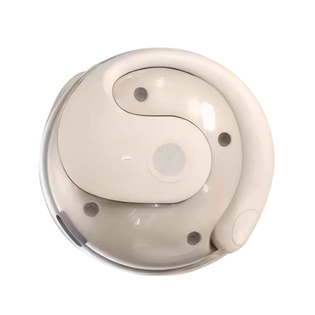 Wireless BT AI Translation Earbuds 99% Accuracy 144 Languages Translator Earbuds Smart Voice Translator for Travel and Business