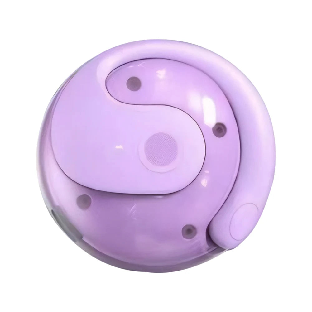 Wireless BT AI Translation Earbuds 99% Accuracy 144 Languages Translator Earbuds Smart Voice Translator for Travel and Business